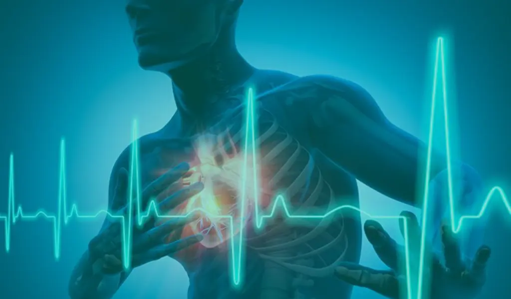 Illustrazione del cuore umano con onde elettrocardiografiche, simbolo della relazione tra salute orale e cardiaca